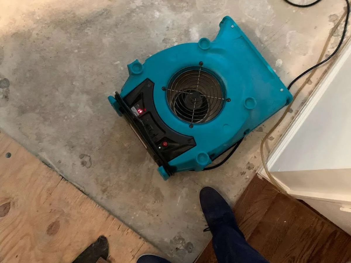 Air mover drying subfloor during Commercial Water Damage Restoration in Bell